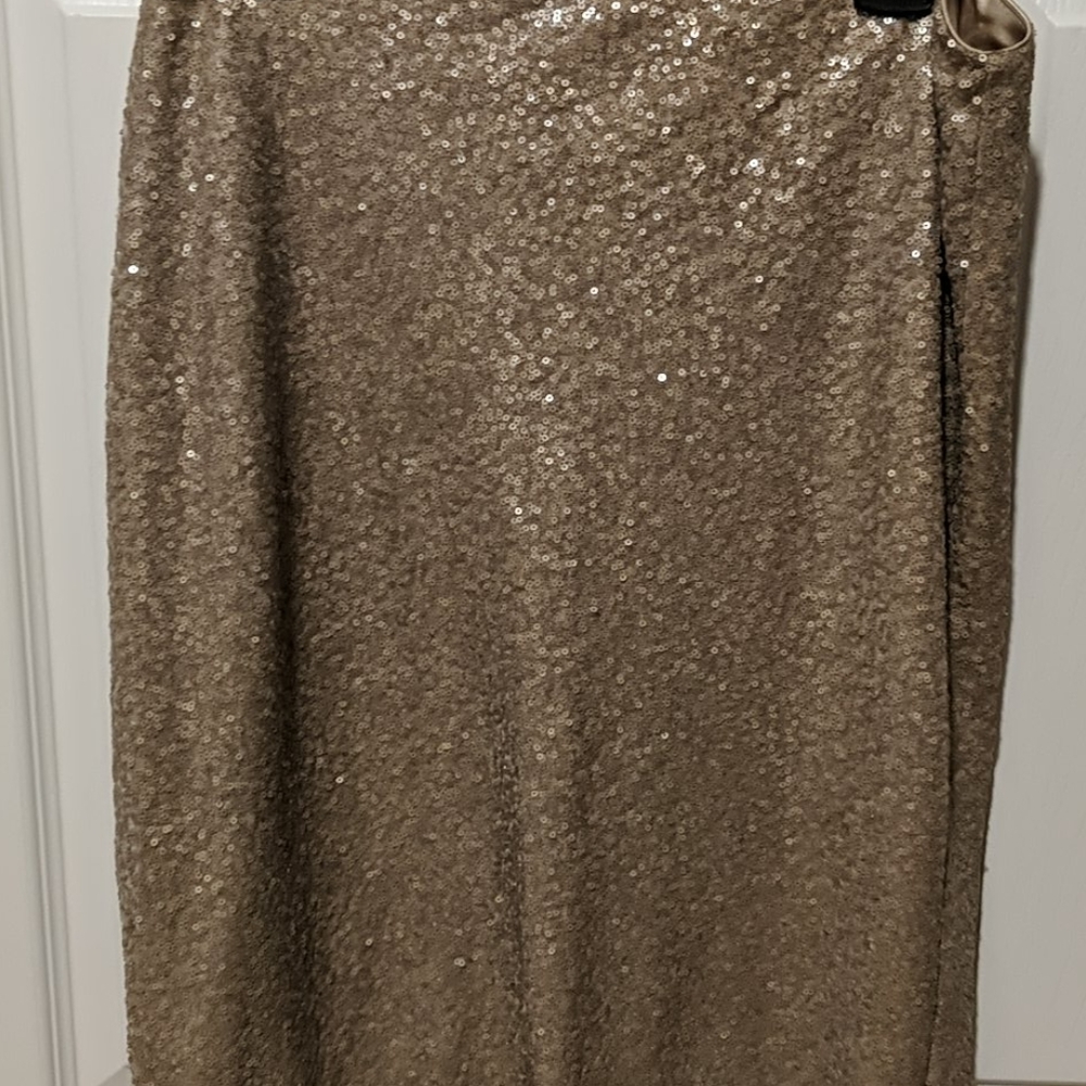 NWT Lauren Party skirt